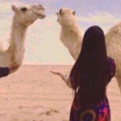 خاطري شفقن على قطع الخرايم