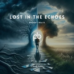 Lost In The Echoes