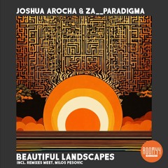 PREMIERE | Joshua Arocha & Za__Paradigma - Beautiful Landscapes (Meet Remix) [ROOM070]
