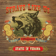Strays Like Us
