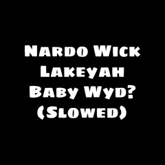 Nardo Wick Ft. Lakeyah - Baby Wyd? (Slowed)