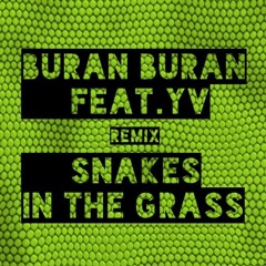 Snakes In The Grass feat.YV (Remix)