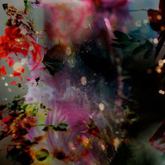 haunted ground; tendrils burn like fuchsia