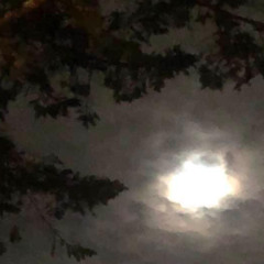 The Using of Portals!