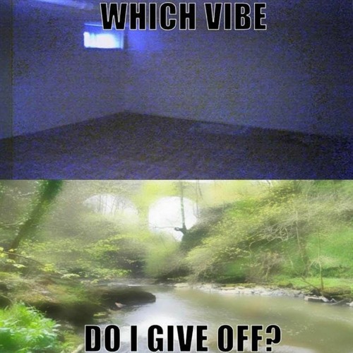 Sg Lily - wtf {nightcore}