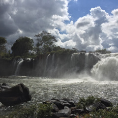 Radio Guesthouse 61 – Mark Broadbent