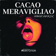 Cacao Meravigliao - House Remix