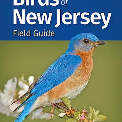 Stream 📎 Birds of New Jersey Field Guide (Bird Identification Guides