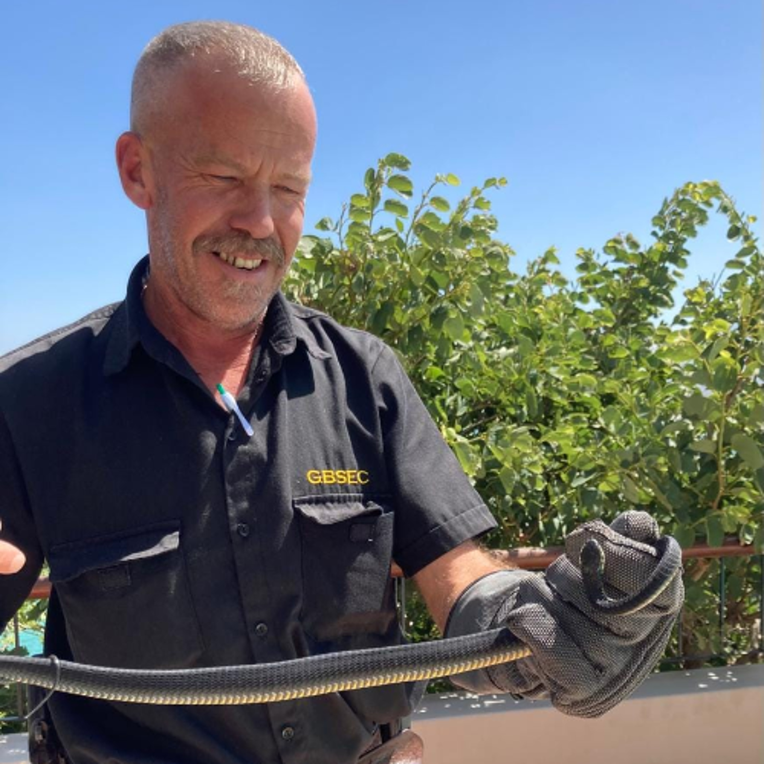 Wild Wednesday's On #HFMBreakfast - 10 December 2025 Wild Wednesday's On #HFMBreakfast - 10 December 2025