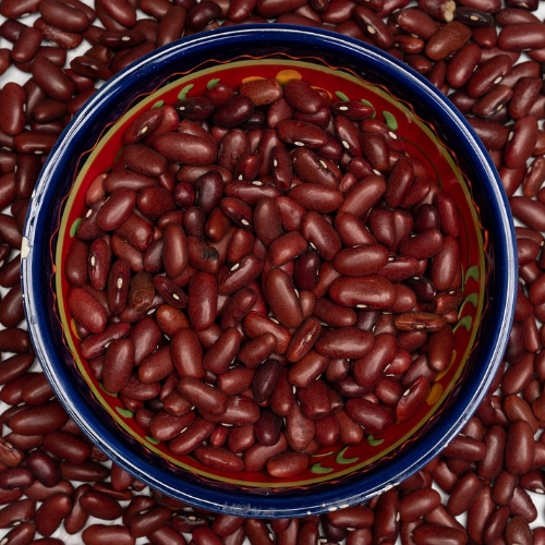 Verblasste Bilder (Bohnensong)