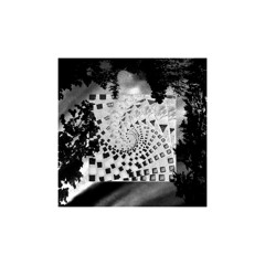 videostar - vae flip