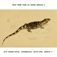 Trip from Jose to South Africa 4 with Tsebebe Moroke, TeepeeMassoxs, Kelvin Momo, Brandon y más