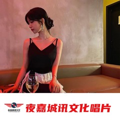 最后的莫西干人dj
