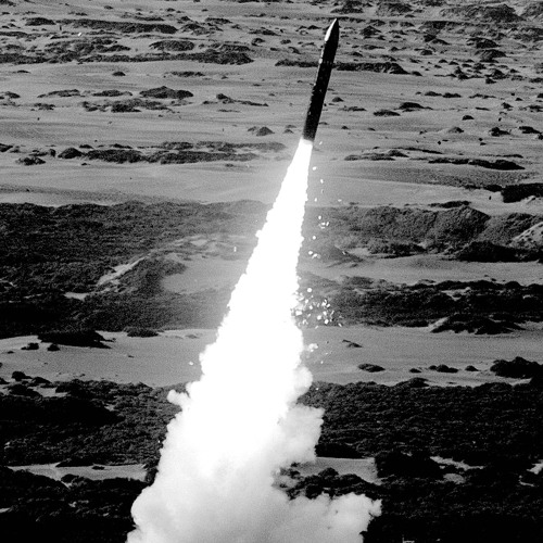 GoZio - Vegan missile