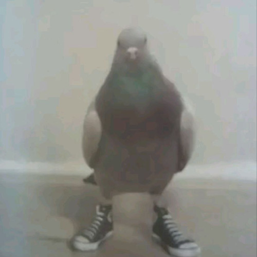 how do i name this