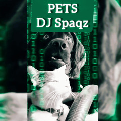 DJ Spaqz - Pets