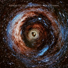 Shades of House & Techno #014