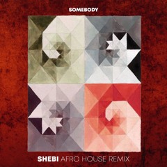Gotye - Somebody (Shebi Afro House Remix)
