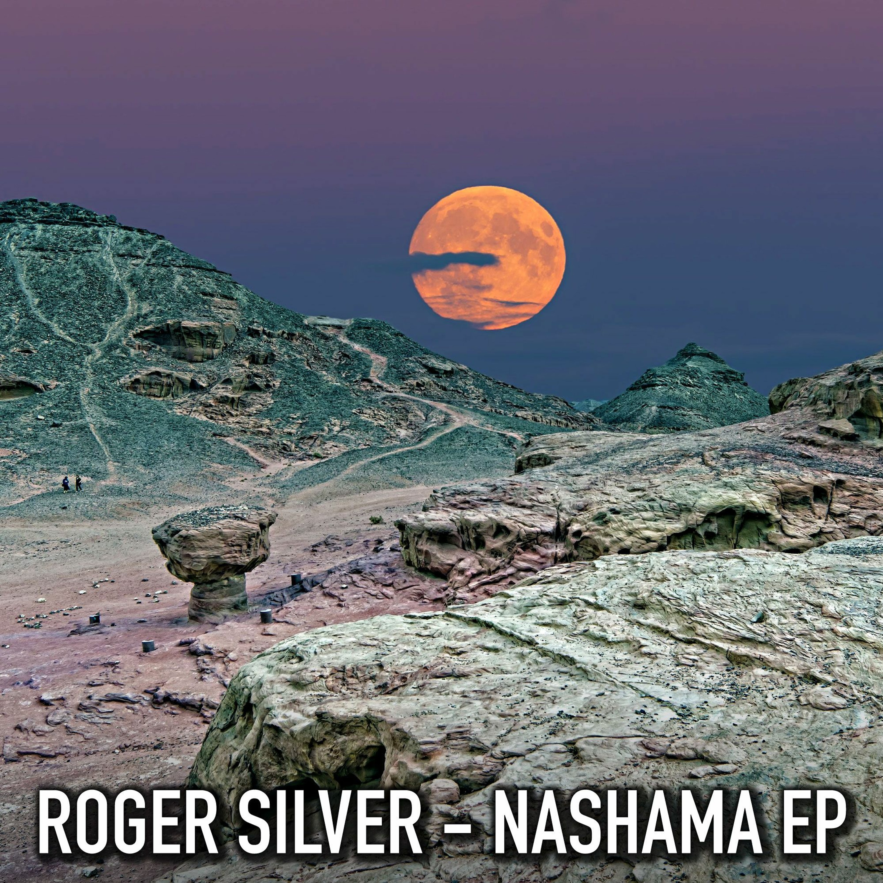 Streams & Soundscapes