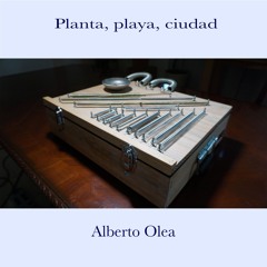 PLAYA - EXPERIMENTACIÓN SONORA - ALBERTO OLEA