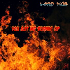 LORD KCB -  YOU GOT ME BURNIN' UP  (Radio Mix)