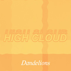 Dandelions