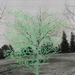 tire track road (demo)