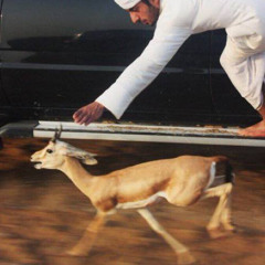 ياللي شريت البعد ماغاب طاريك