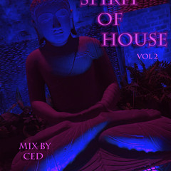 Spirit Of House  Vol 2  (Mix By Ced)