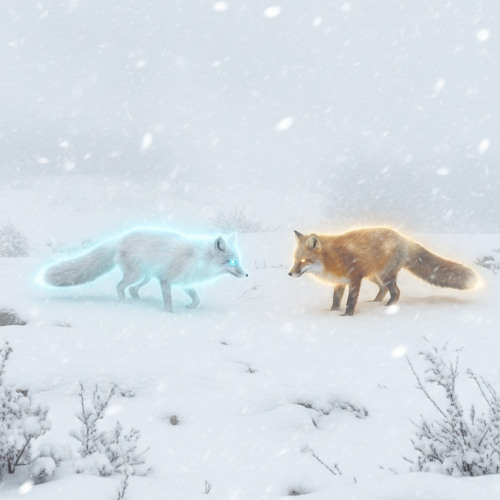 Eclipse of the Crimson Sky