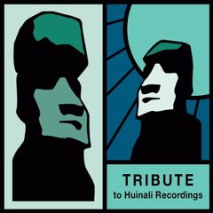 Tribute to Huinali Recodings by Monochrome (31.01.23)