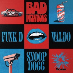 Funk D & Waldo - Bad Intentions (feat. Snoop Dogg)