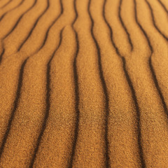 عشوا العوامر تحية ومحبة