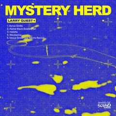 PREMIERE : Larry Quest - Venus Girdle (Joe Morris Remix)