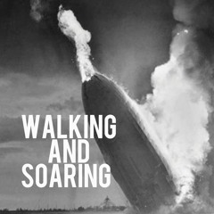 Walking And Soaring