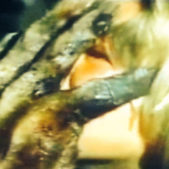 Young Tokes - 111 wayz *Free$tyle* (Prod. KevinTheCreep)