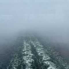 Artist, Silencio Music : SoulFlight Theta