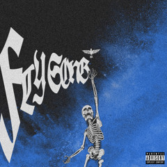 Fly Song