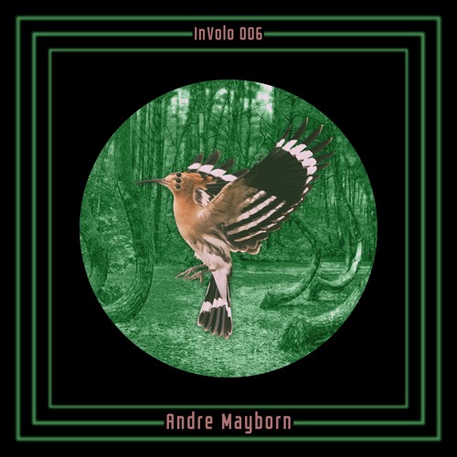 InVolo 006 | Andre Mayborn | Elysium