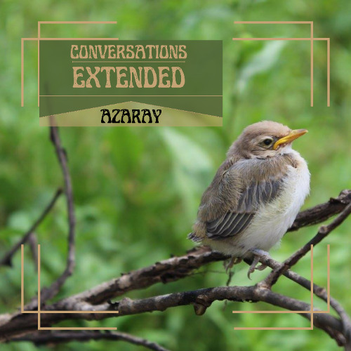 Stream conversations (extended cut) by azaray | Listen online for free ...