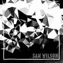 #29-SAM WILSON