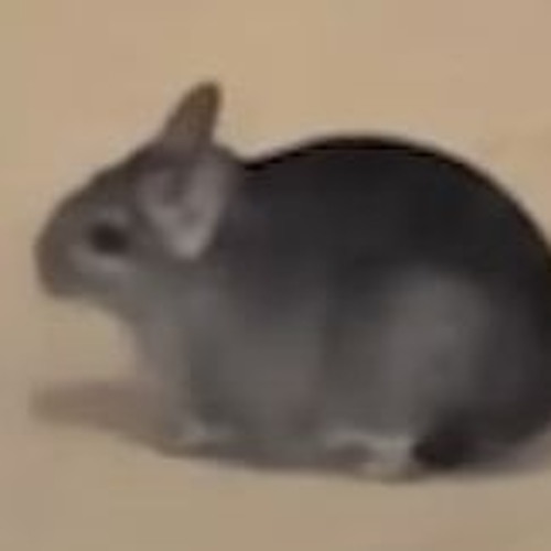 Disrupting Morsecode messages from over seas.