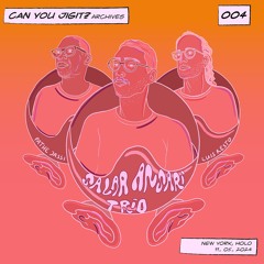 Can You Jigit? Archives 004 - Salar Ansari Trio (Live)
