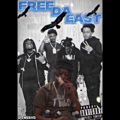 dswervo FREEDAEAST