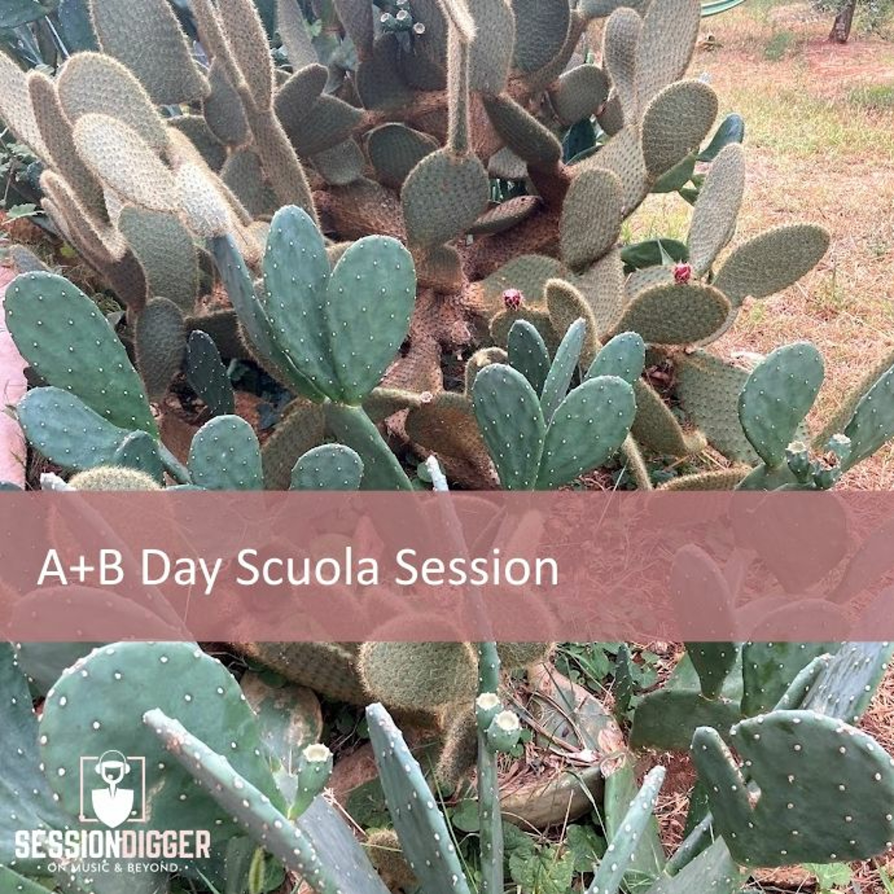 sessiondigger podcast