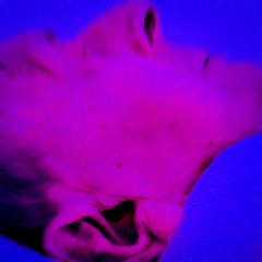 Teitur Magnússon feat Gunnar Jónsson Collider - Hvíti dauði - Sk-Ar remix