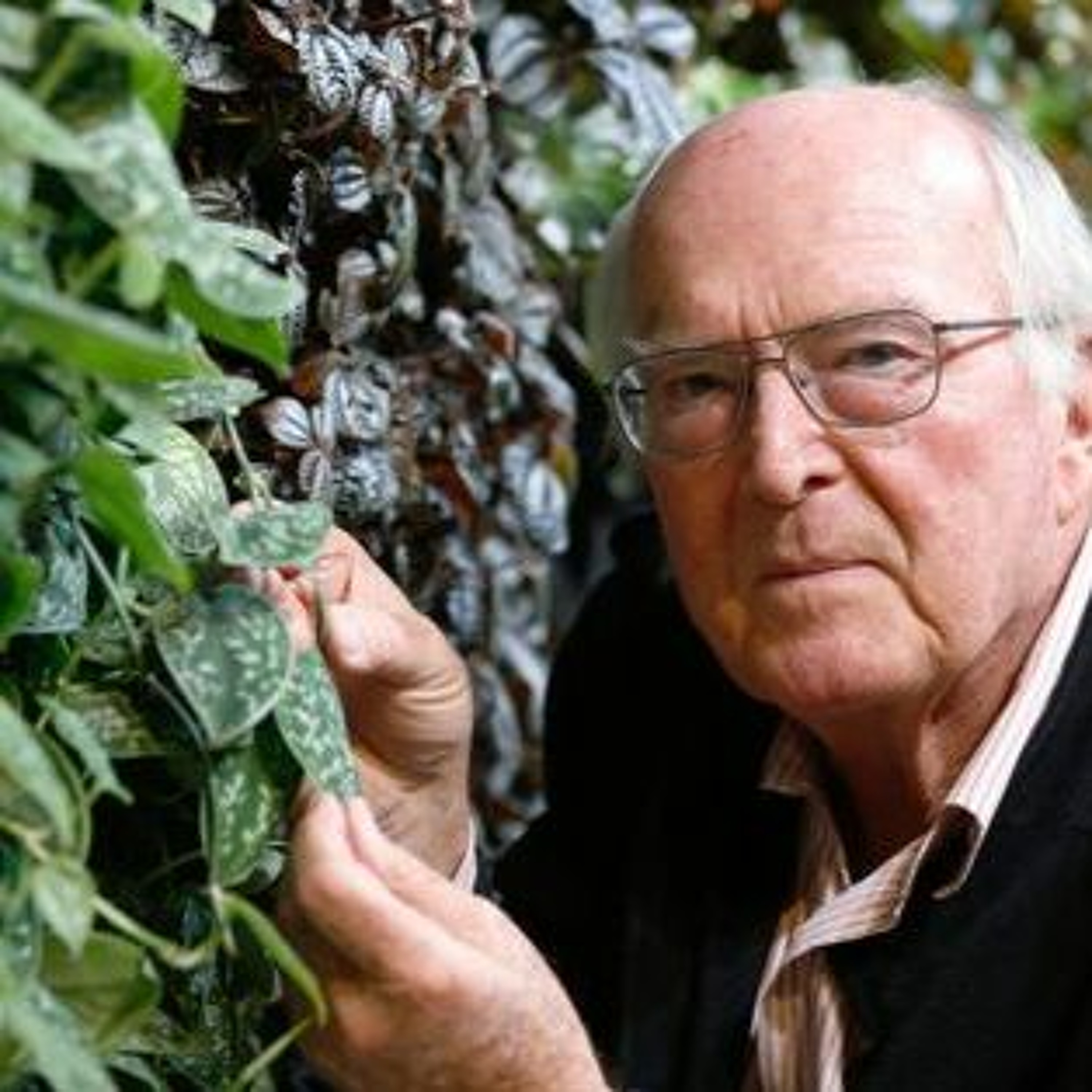 Francis Hallé - Festival Métamorphoses Reillanne 3 juin 2023