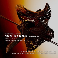 MIX SERIES - project 16: indebraendt