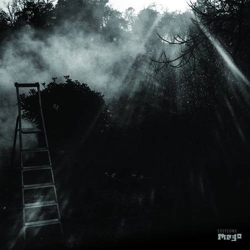 Stream Reinhold Friedl & Eryck Abecassis 'animal électrique 1' (EMEGO