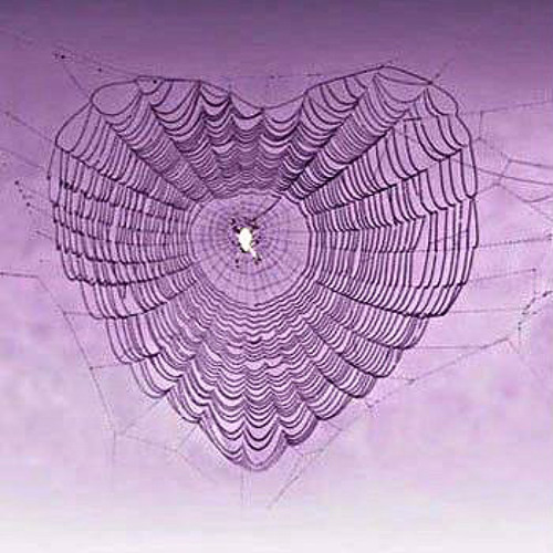 WEBWEBWEB (lovableang4l)